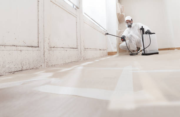 24/7 Emergency Mold Removal experts in Winchester, KY