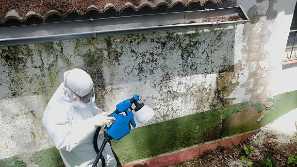 Top rated local Mold Removal specialists in Winchester, KY